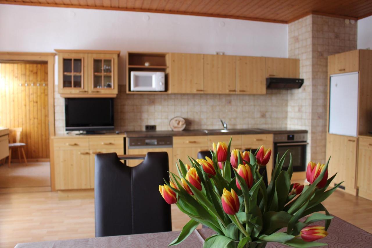 Ferienwohnungen Aigner Haus im Ennstal Esterno foto