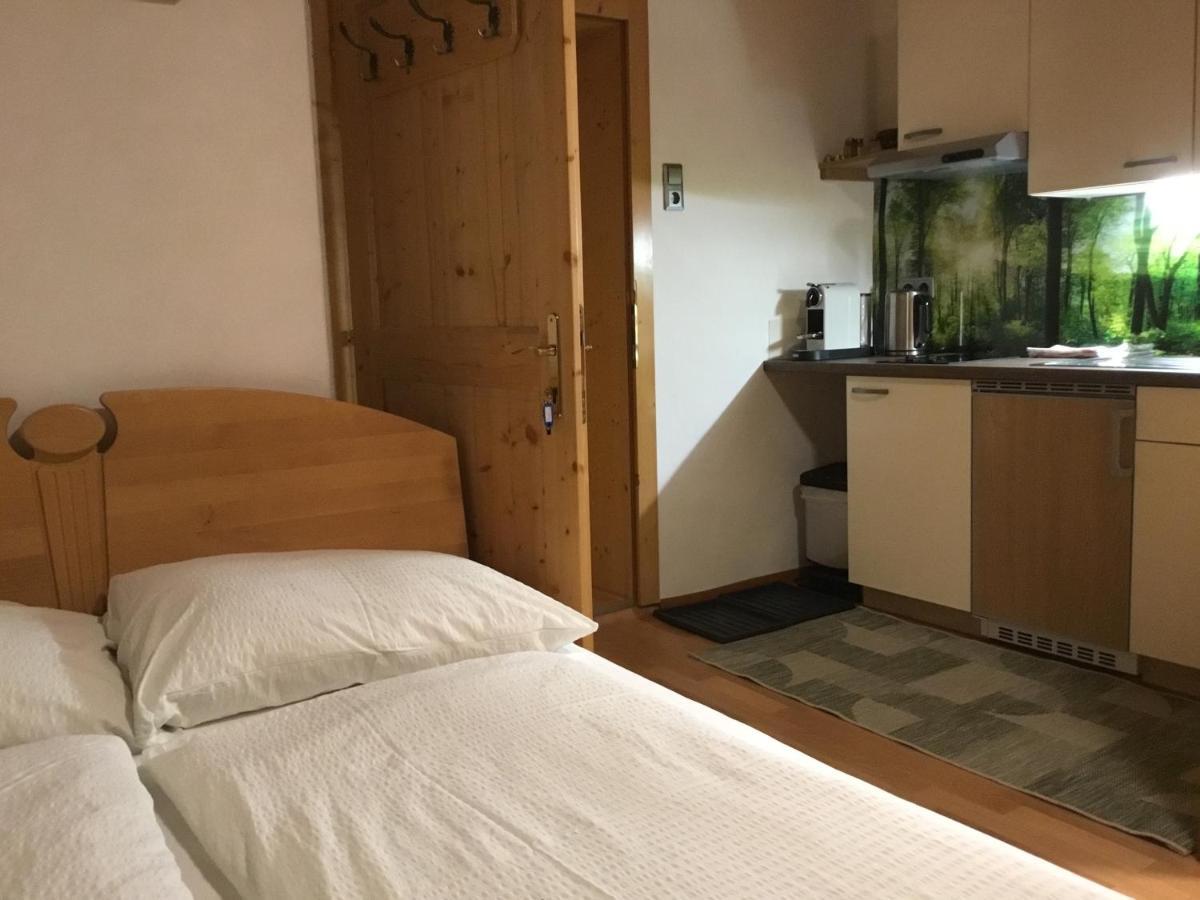 Ferienwohnungen Aigner Haus im Ennstal Esterno foto